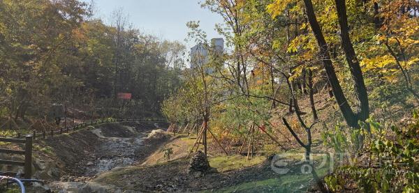 [크기변환]1-1. 용인특례시가 수지구 죽전동에 조성한 도시 숲 모습.jpg