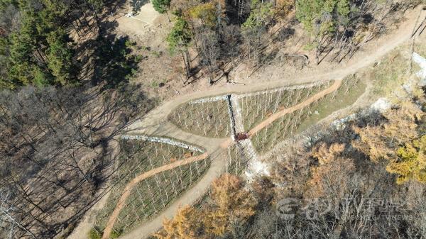 [크기변환]1-2. 용인특례시가 수지구 죽전동에 조성한 도시 숲 모습.JPG