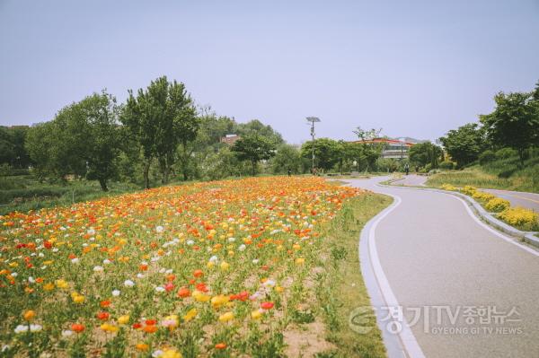 [크기변환]1.오산시, 오산천 따라 쉬어가는 공간 늘어난다_5월의 오산천.jpg