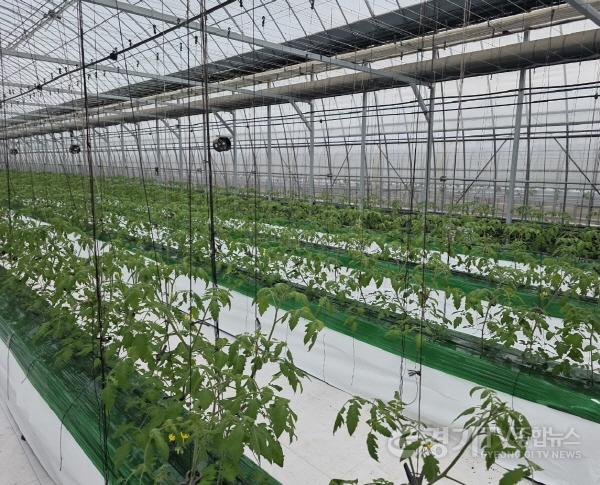 [크기변환]수원시농업기술센터, 2026년 농업기술 보급사업 참가자 모집.jpg