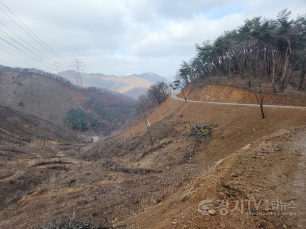 [크기변환]2-2. 용인특례시가 처인구 원삼면 학일리 일원에 조성한 간선임도.jpeg