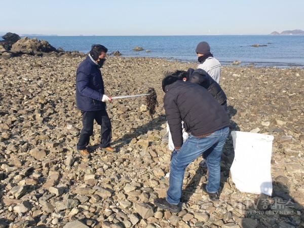 [크기변환]4-2. 화성특례시가 14일 국화도에서 민관합동 해양방제활동을 하고 있다.JPG