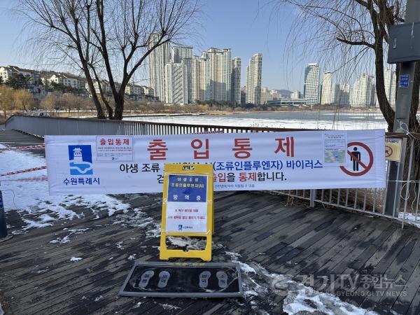 [크기변환]사진1)수원 원천호수에서 수거한 큰기러기 폐사체에서 고병원성 조류인플루엔자(AI) 바이러스 검출.jpg