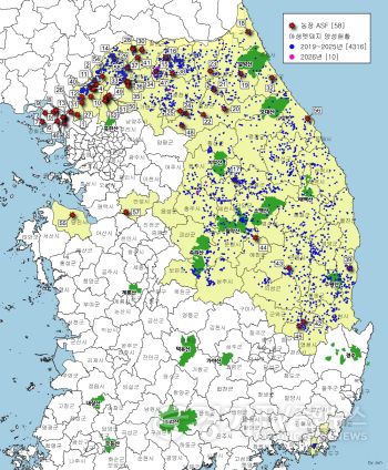[크기변환]260126 ASF 전국 발생 지도.png