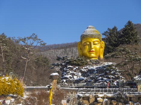 [크기변환]사본 -260204 용인 와우정사.jpg