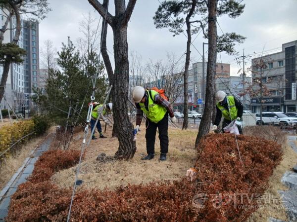 [크기변환]1. 수원시 팔달구, 소나무 재선충병 방제완료.jpeg