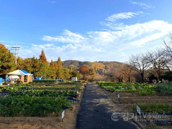 [크기변환]1. (농업지도과)2026년 공공텃밭 분양자 모집 (3).jpg