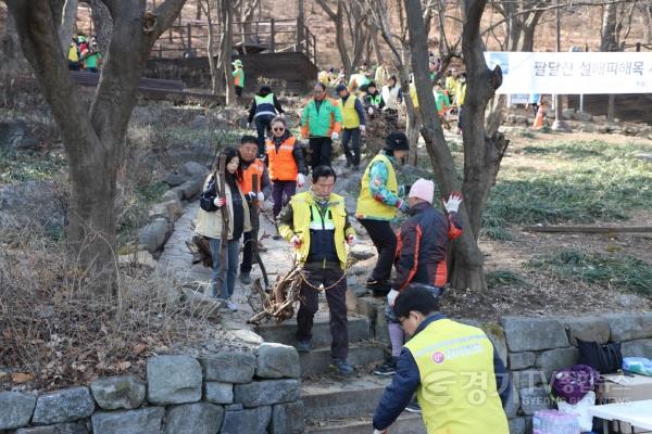 [크기변환]사진2) 수원특례시,‘팔달산 설해(雪害) 피해목 시민의 손으로 복원하기’봉사활동.jpg