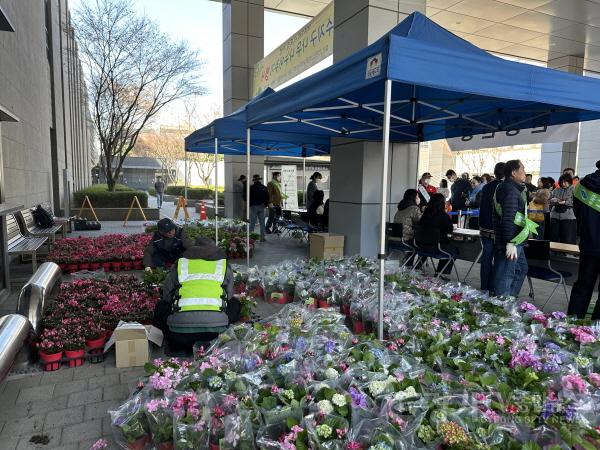 [크기변환]2-3. 수지구 나무 나누어주기 행사 모습.jpeg