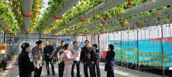 [크기변환]광주시 김충범 부시장, 곤지암읍 딸기 재배 농가 현장 방문 (2).jpg