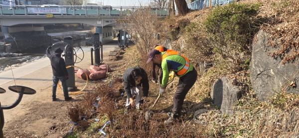 [크기변환]관련 사진 3. 철쭉 식재 사진_3.jpg