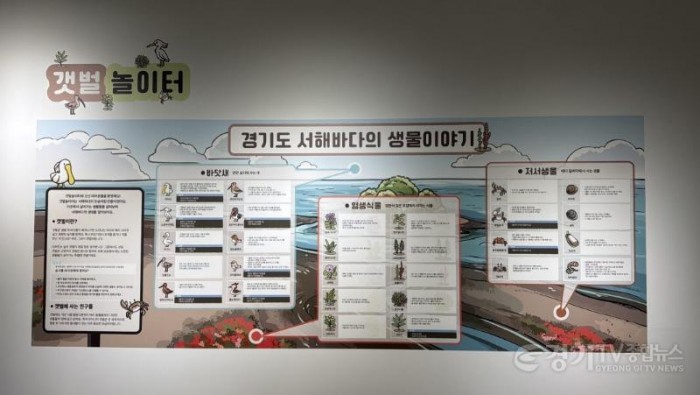 [크기변환]2. 교육용 생태 게시판(경기도 서해바다 생물이야기).jpg