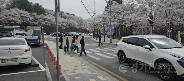 [크기변환]1 설봉공원 벚꽃 만개 상춘객 급증.png