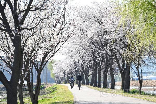[크기변환]아름다운 우리 시흥시_연꽃테마파크 (1).jpg