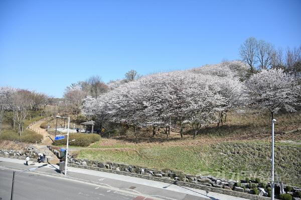 [크기변환]아름다운 우리 시흥시_오난산.jpg