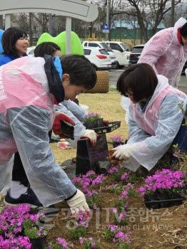[크기변환]광주시 오포 주민자치위원회, 제72회 경기도체육대회 앞두고 오포스포츠파크 화단 정비 및 꽃잔디 식재 (4).jpg