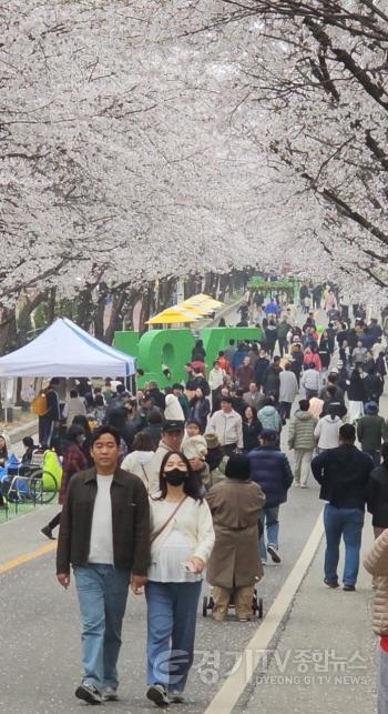 [크기변환]02-제10회 여주흥천남한강벚꽃축제 43만명 방문, 역대 최고 성과 달성(4).jpg