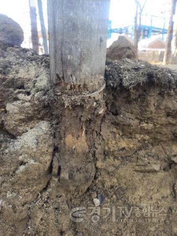 [크기변환]01-신륵사관광지 (구)잔디광장, 안전과 미래를 담은 물결광장으로 재탄생(2).jpeg