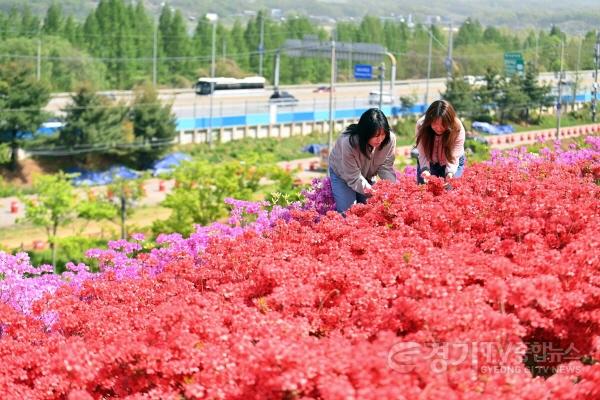 [크기변환](사진1)주말 ‘인생샷’ 예약 하남 철쭉동산 ‘오픈런’ 해야 하는 이유.jpg