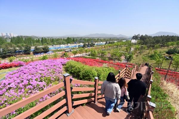 [크기변환](사진2)주말 ‘인생샷’ 예약 하남 철쭉동산 ‘오픈런’ 해야 하는 이유.jpg