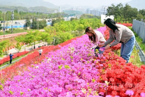 [크기변환](사진3)주말 ‘인생샷’ 예약 하남 철쭉동산 ‘오픈런’ 해야 하는 이유.jpg