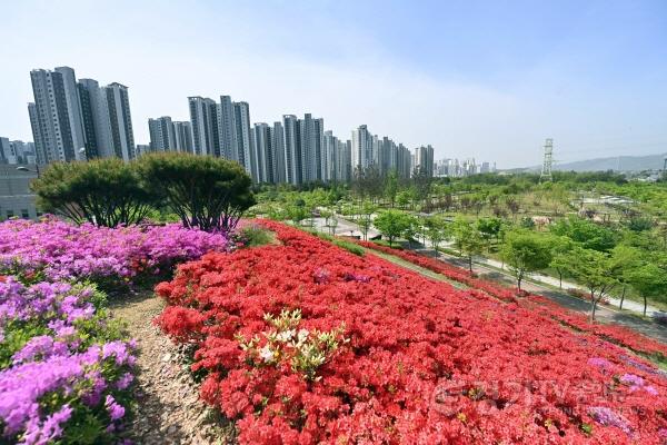 [크기변환](사진4)주말 ‘인생샷’ 예약 하남 철쭉동산 ‘오픈런’ 해야 하는 이유.jpg