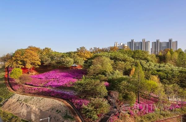 [크기변환]2026.04.20.[포토 뉴스]분홍빛 철쭉바다'소문난 꽃의 낙원'-1.jpg