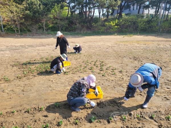 [크기변환]사진2(12).jpg