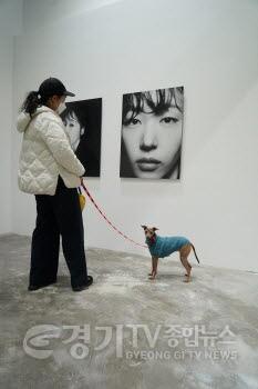 [크기변환]경기사진센터_댕댕이 001.jpg