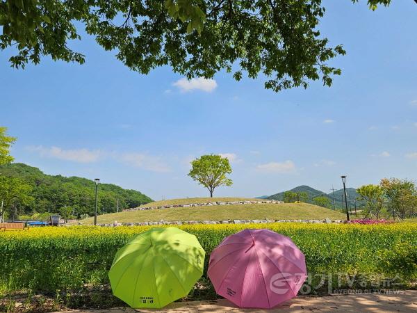 [크기변환]사본 -5 (문화관광과)금광호수 수석정 수변화원.. 유채꽃 향연 (1).jpg