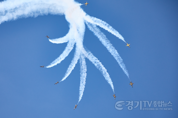 [크기변환]블랙이글스_2.png