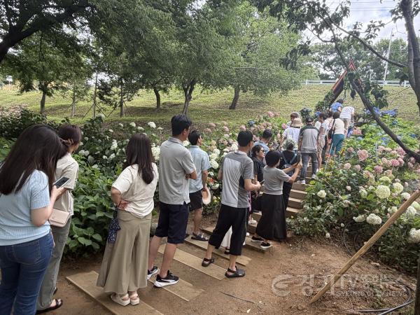 [크기변환]11-2 2026 내리문화공원 수국전시회.jpeg