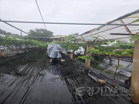 [크기변환]temp_1782084072159.-961448671.jpeg