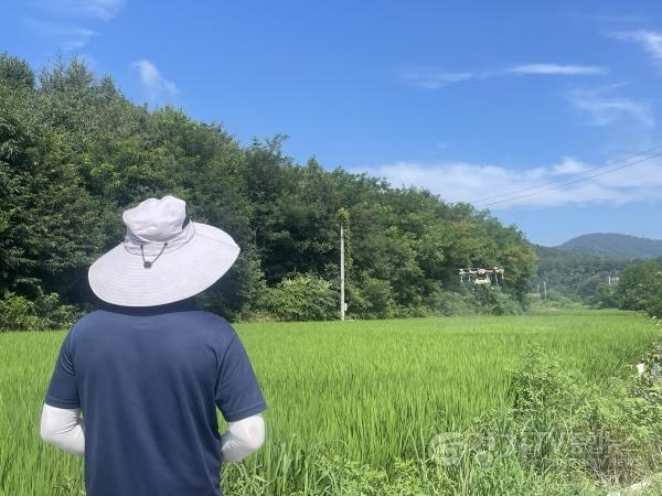 [크기변환]4. 용인특례시는 양봉농가와 친환경 농가에 8월 첫째 주와 둘째 주 드론 방제에 따른 협조를 당부했다.jpg