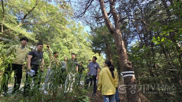 [크기변환]오산시 소나무재선충병 신규발생 관련 사진 (3).jpg