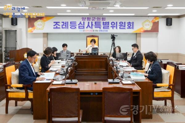 [크기변환]3. 조례등심사특별위원회.jpg