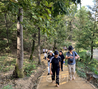 [크기변환]4. 용인특례시 처인·기흥·수지구보건소는 지역별 특색을 살린 시민 참여형 건강 걷기 프로그램을 운영한다.png
