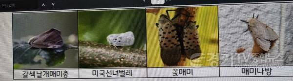 [크기변환]temp_1791716349259.791231378.jpeg