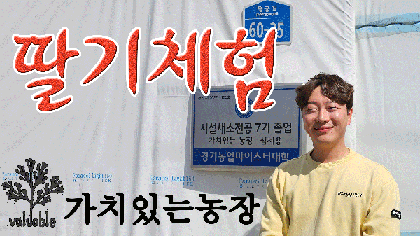 [평택시]  “가치있는 농장 딸기 팜파티” 인기   -경기티비종합뉴스-