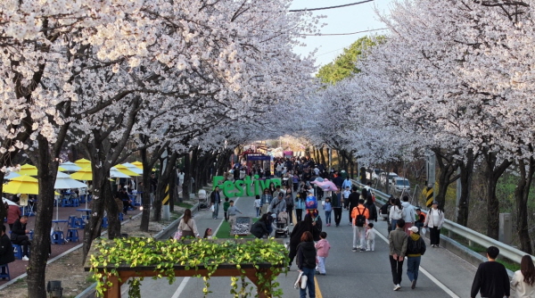 [경기티비종합뉴스] 제10회 여주흥천남한강벚꽃축제 43만명 방문, 역대 최고 성과 달성