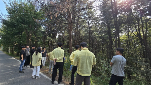 [경기티비종합뉴스] 오산시 소나무재선충병 발생…경기도, 긴급방제대책회의 열어 총력 대응