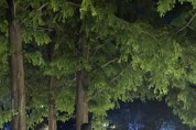 [용인시]  공원 등 방역 사각지대 민관합동 특별 점검  -경기티비종합뉴스-