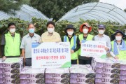 용인시, NH농협 직원들 백암서 포도수확 돕기·기탁  -경기티비종합뉴스-