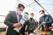 [용인시]  전국 최초 친환경농법 재배 ‘양대파’ 출하   -경기티비종합뉴스-