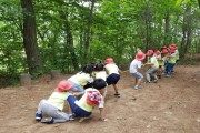 용인시, 유아숲체험 하반기 프로그램 참여 기관 모집  -경기티비종합뉴스-
