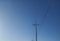 [안성시]  산란계농장 고병원성AI 의심사례 발생...‘긴급 예방적 살처분 및 방역조치 강화’  -경기티비종합뉴스-