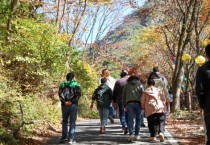 [용인특례시]  장애인시설에 코로나 우울 치유 ‘맞춤 외부활동’사업 지원  -경기티비종합뉴스-