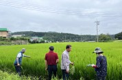 [용인특례시]   고품질 백옥쌀 생산 위한 재배지 심사 시작   -경기티비종합뉴스-