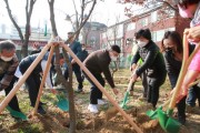 수원시, 장안구 다람쥐어린이공원에 도시숲 조성  -경기티비종합뉴스-