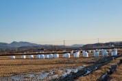 [이천시]  곤포사일리지 볏짚비닐 지원 사업 추진    -경기티비종합뉴스-